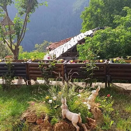 музикалната къща Guest house Breze