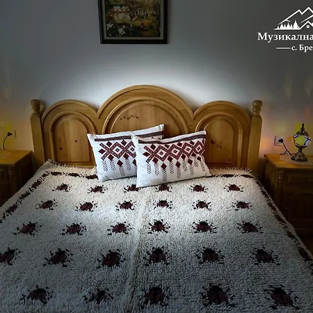 Guest house музикалната къща