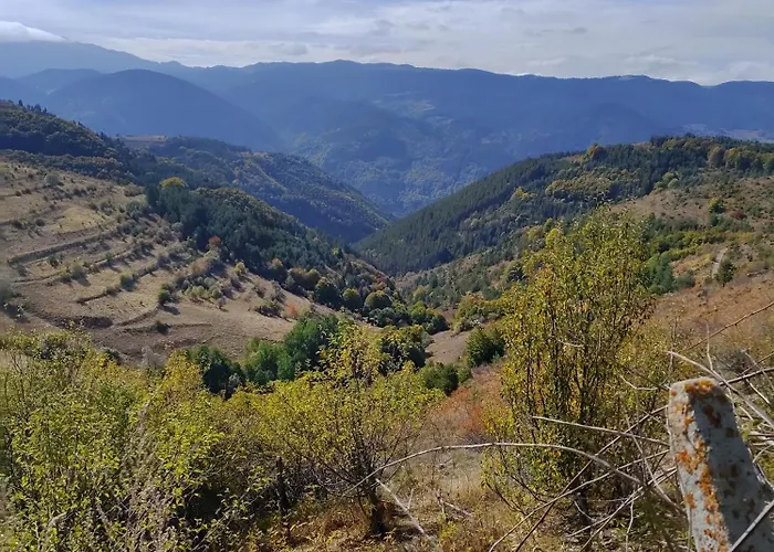 музикалната къща