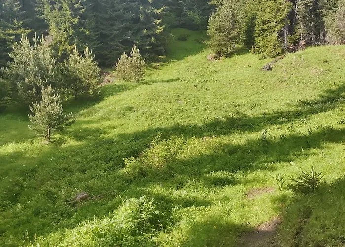 музикалната къща Breze