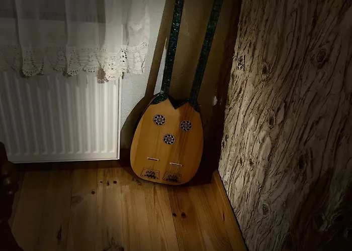 музикалната къща *